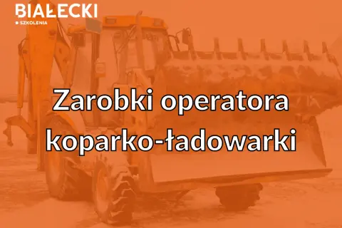 Zarabki operatora koparki w Niemczech. Dowiedz się, ile zarabia operator koparko-ładowarki.