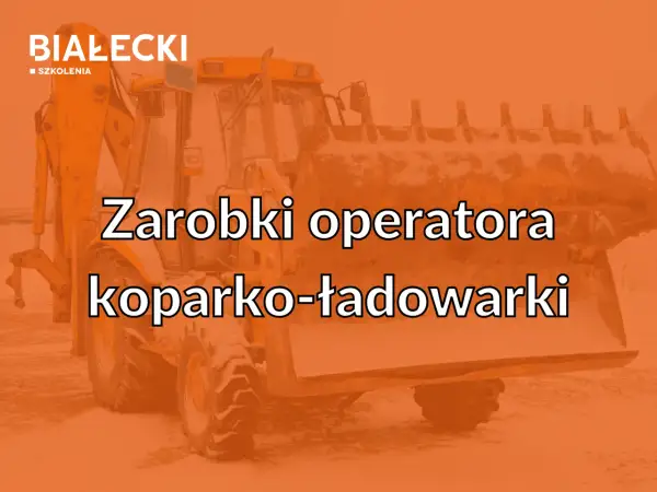 Zarabki operatora koparki w Niemczech. Dowiedz się, ile zarabia operator koparko-ładowarki.