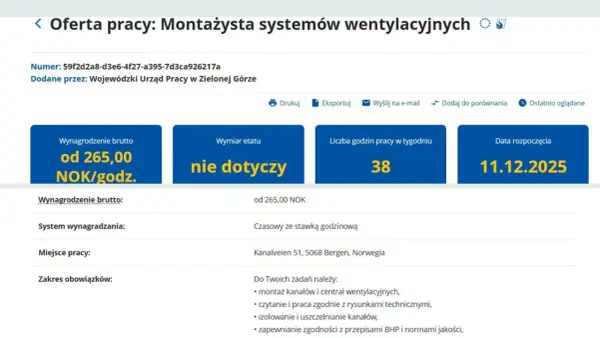 Zarobki dekarza Norwegia: Ile zarobisz "na rękę"?